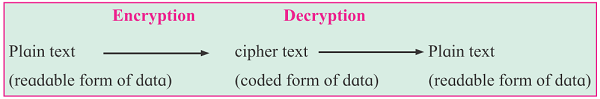 process of encryption ecommerce egovernance 12th IT Exercise Solution ECommerce & EGovernance