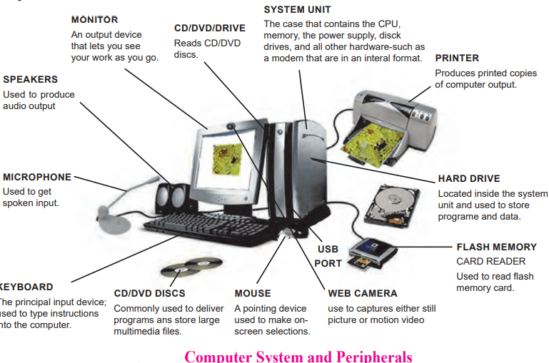 Exercise Solutions Basics of Information Technology class 11 HSC IT